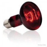 Red 250w Heat Bulb