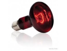 Red 250w Heat Bulb